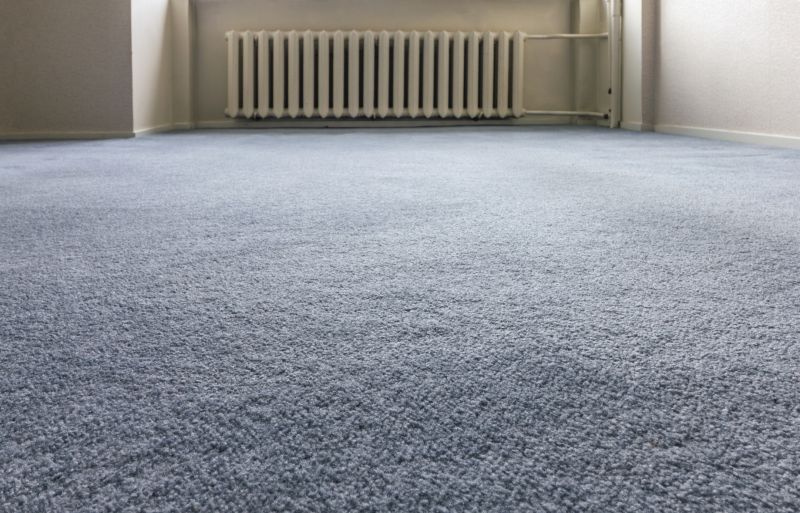 Carpet Hole Repair in Denver County, CO