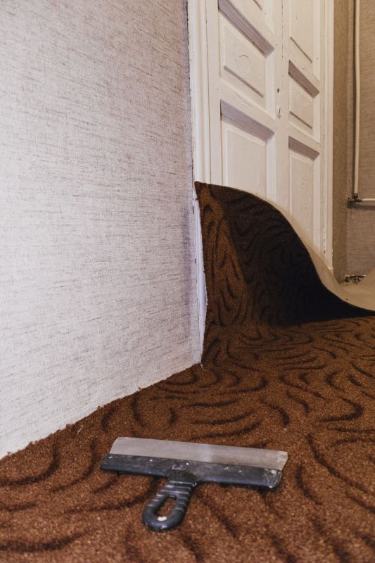 Carpet Repair Service in Overland Park, KS