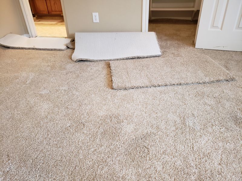 Carpet Restretching in Kansas City, KS