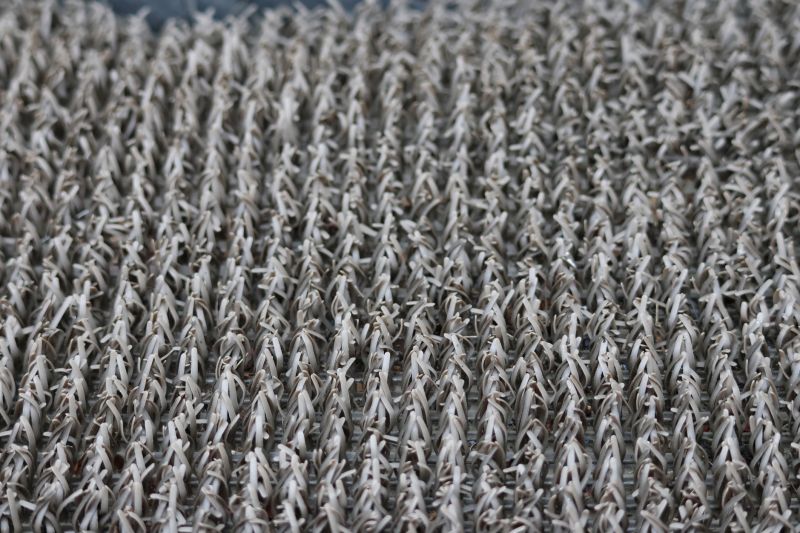 Stair Carpet Repair in Olathe, KS