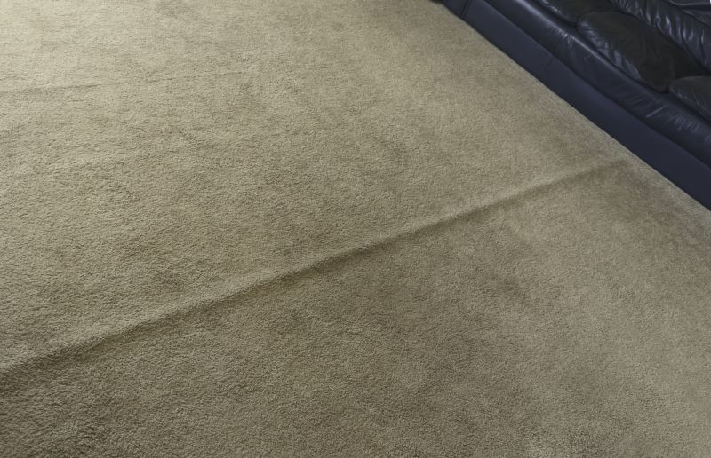 Residential Carpet Repair in Olathe, KS
